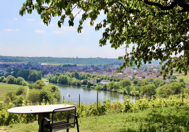 Blick auf Kirchheim a.N. | Foto: ED