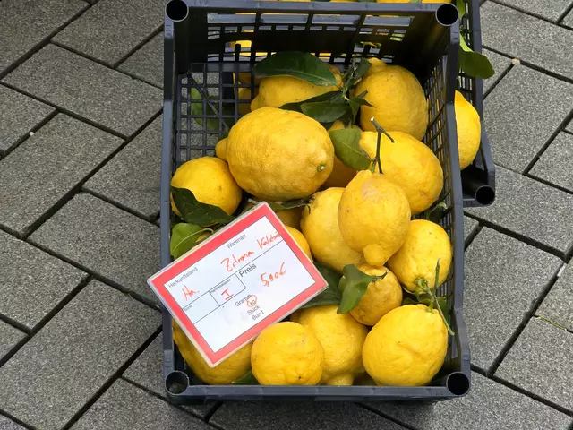 Foto: Heidrun Rosenberger