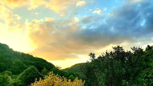 Abendlicht | Foto: Ralf Röser