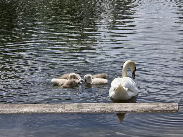 Foto: Heidrun Rosenberger