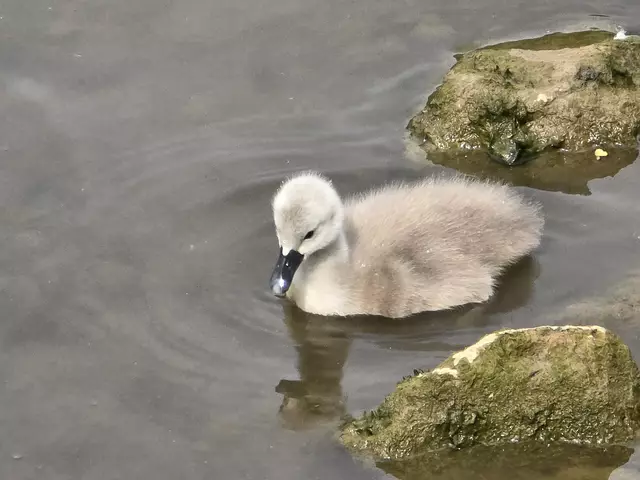 Foto: Heidrun Rosenberger