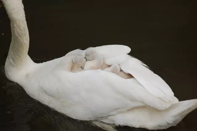 Foto: Heidrun Rosenberger