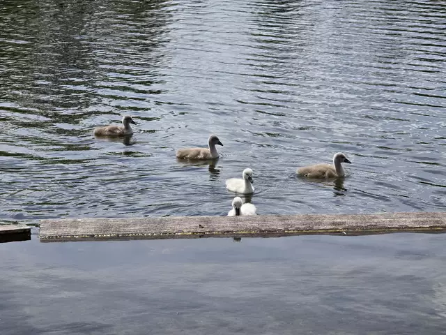 Foto: Heidrun Rosenberger