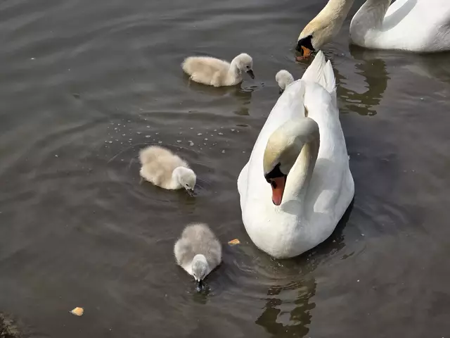 Foto: Heidrun Rosenberger