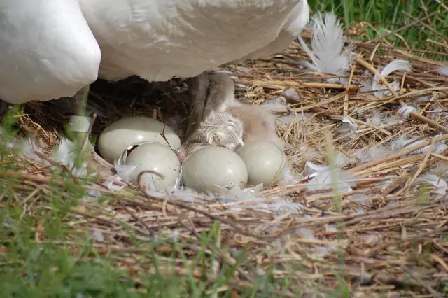 Foto: Heidrun Rosenberger