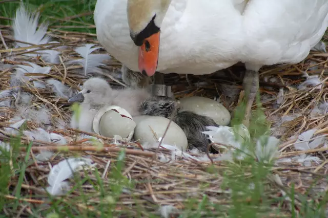Foto: Heidrun Rosenberger