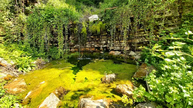 so schön😍🌞 | Foto: Ralf Röser