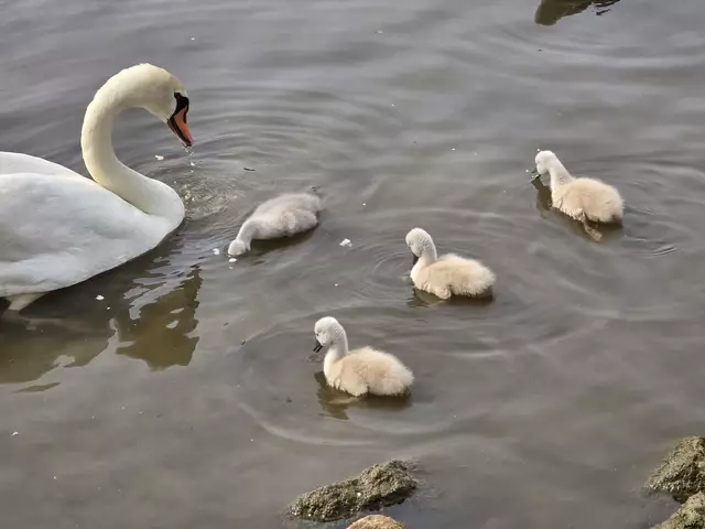 Foto: Heidrun Rosenberger