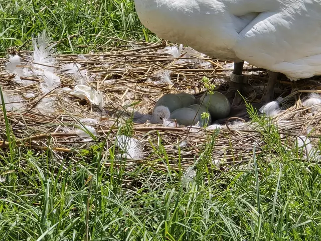Foto: Heidrun Rosenberger