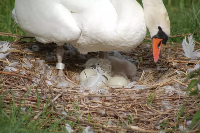 Foto: Heidrun Rosenberger