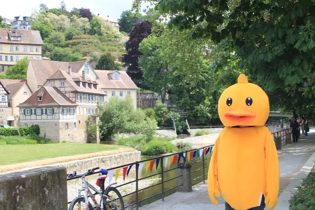 Schwäbisch Hall- Ackeranlagen/ Unterwöhrd | Foto: Ralf Röser