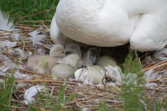 Foto: Heidrun Rosenberger