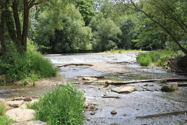 Schwäbisch Hall- Ackeranlagen/ Unterwöhrd | Foto: Ralf Röser