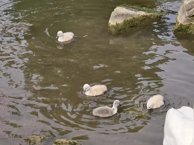 Foto: Heidrun Rosenberger