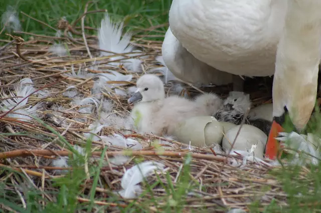 Foto: Heidrun Rosenberger