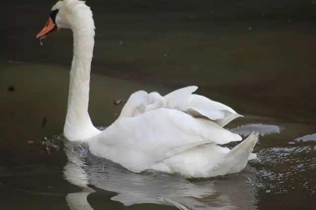 Foto: Heidrun Rosenberger
