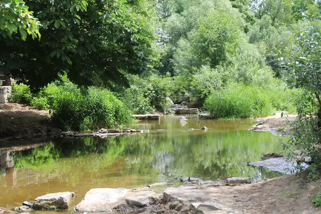 Schwäbisch Hall- Ackeranlagen/ Unterwöhrd | Foto: Ralf Röser