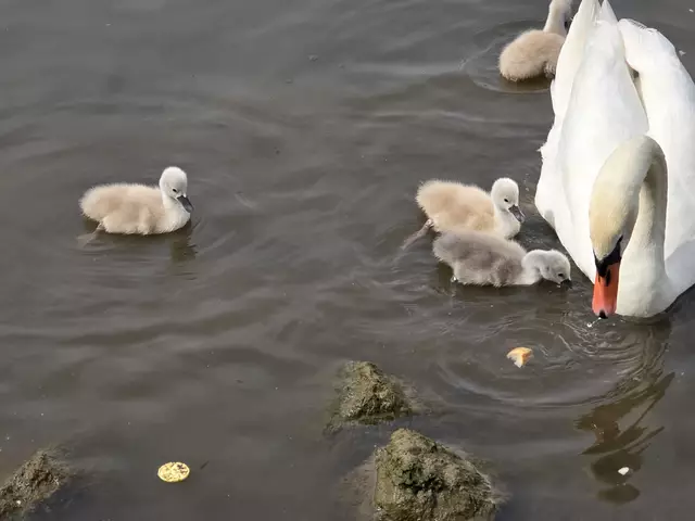 Foto: Heidrun Rosenberger