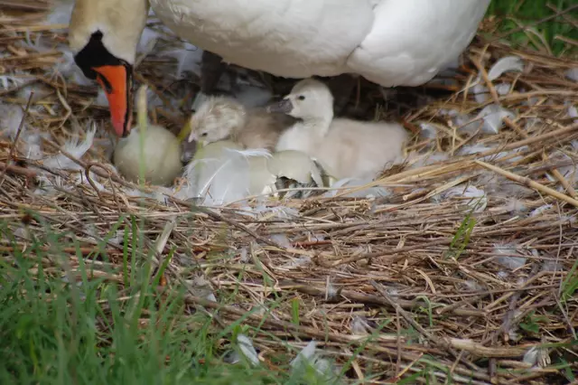 Foto: Heidrun Rosenberger