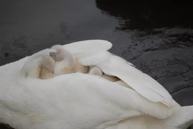 Foto: Heidrun Rosenberger