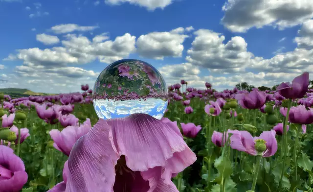 Schwerelos im Lila Laune Land | Foto: Moni Bordt