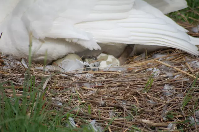 Wieder patschnass. | Foto: Heidrun Rosenberger