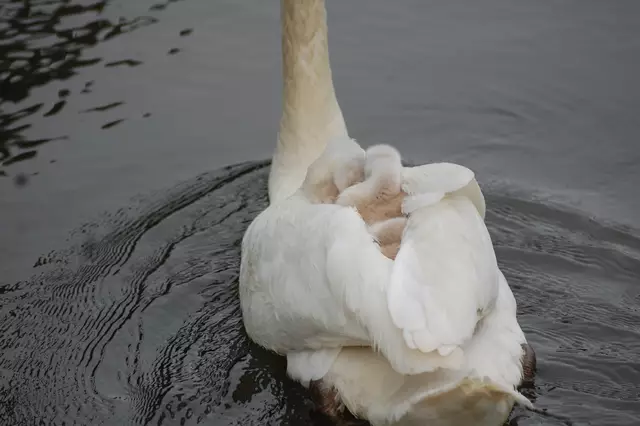 Foto: Heidrun Rosenberger