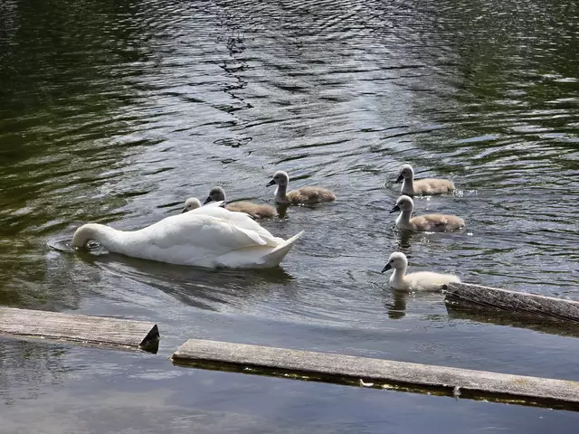 Foto: Heidrun Rosenberger