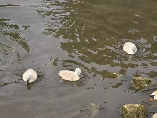 Foto: Heidrun Rosenberger