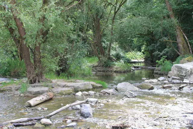 Schwäbisch Hall- Ackeranlagen/ Unterwöhrd | Foto: Ralf Röser