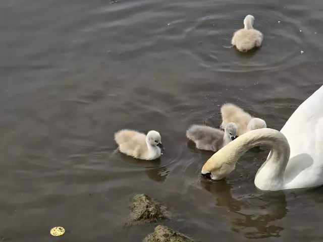 Foto: Heidrun Rosenberger