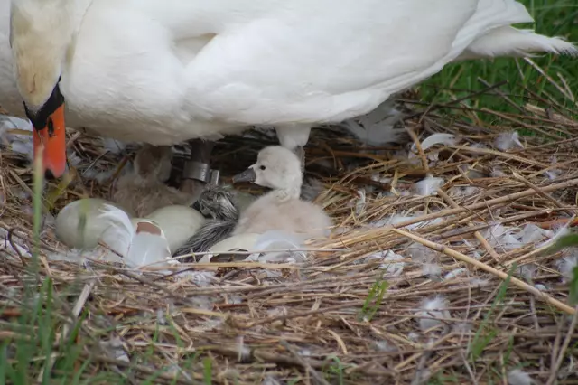Foto: Heidrun Rosenberger