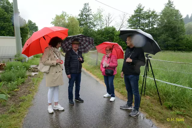 Foto: Foto: H. Stark