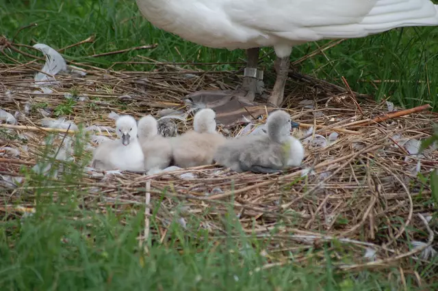 Foto: Heidrun Rosenberger