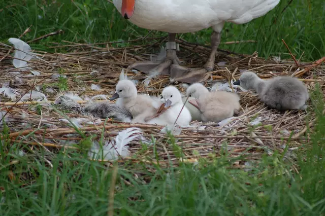 Foto: Heidrun Rosenberger