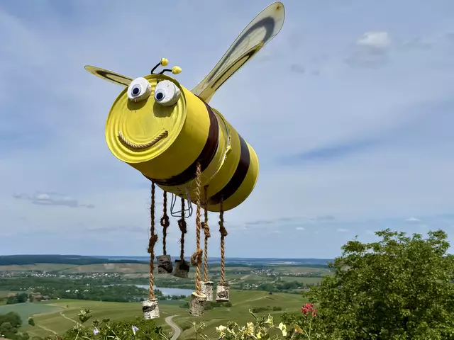 Es flattert über dem Breitenauer See... | Foto: Moni Bordt