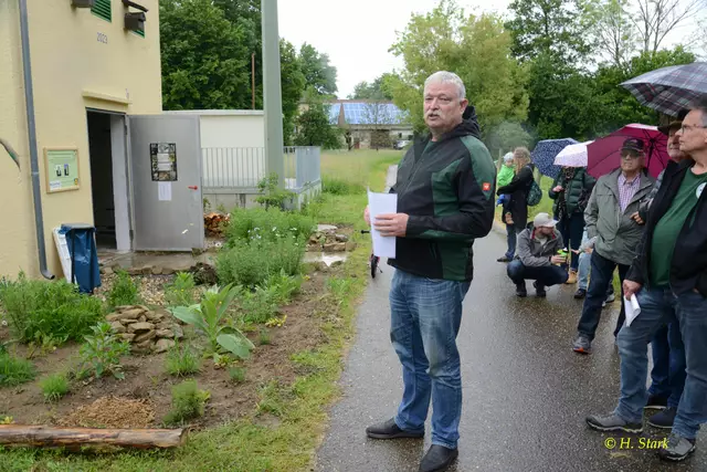 Foto: Foto: H. Stark