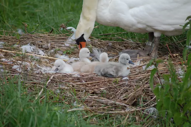 Foto: Heidrun Rosenberger