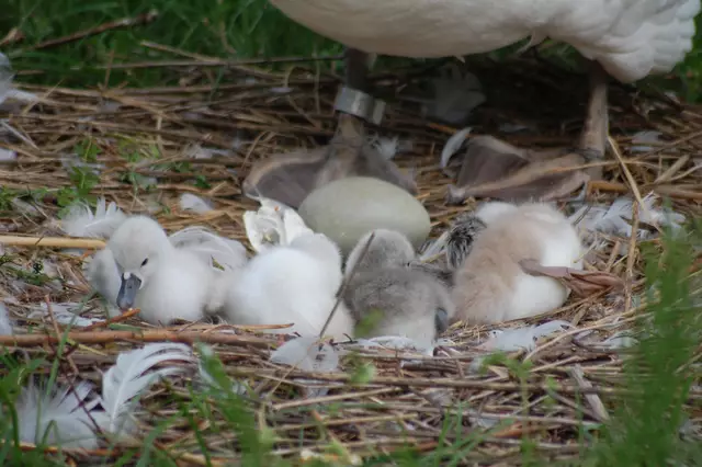 Foto: Heidrun Rosenberger