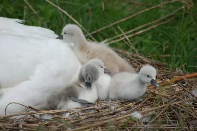 Foto: Heidrun Rosenberger
