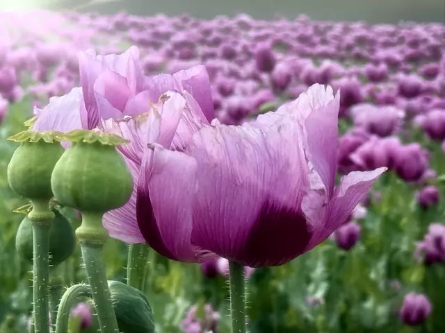 Spot an.... | Foto: Moni Bordt