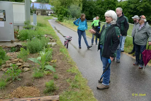 Foto: Foto: H. Stark