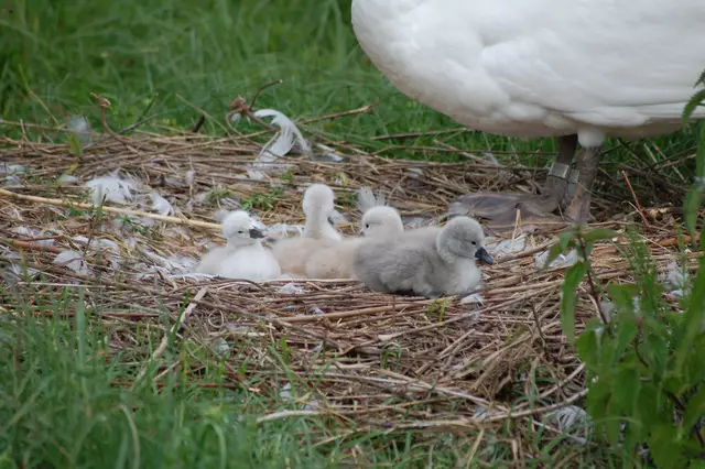 Foto: Heidrun Rosenberger