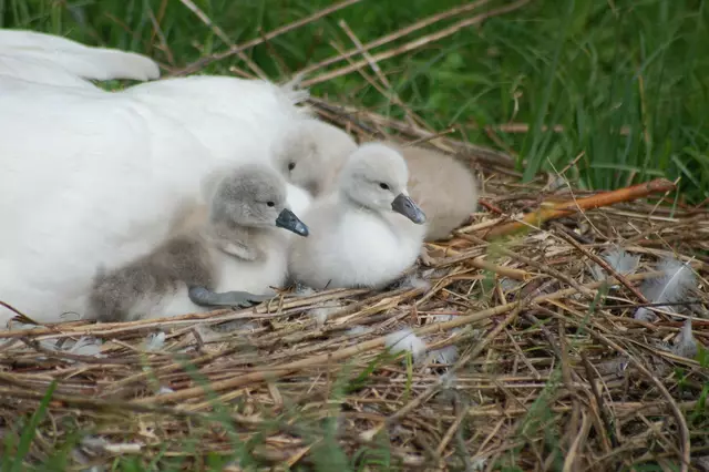 Foto: Heidrun Rosenberger