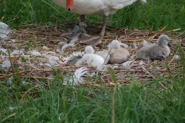 Foto: Heidrun Rosenberger