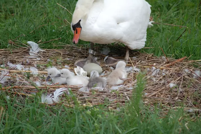 Foto: Heidrun Rosenberger