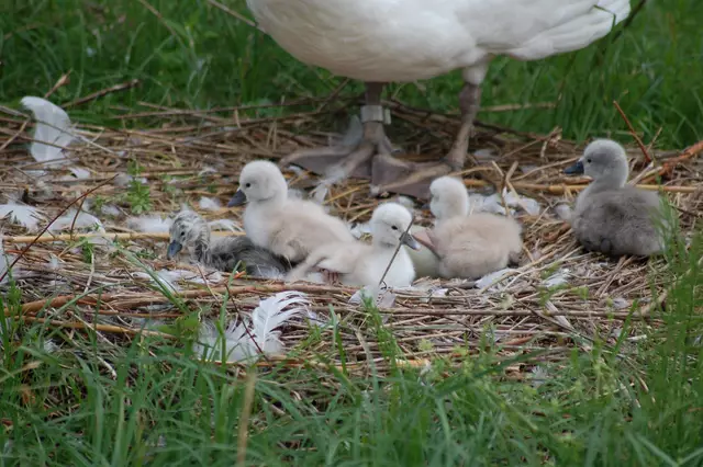 Foto: Heidrun Rosenberger