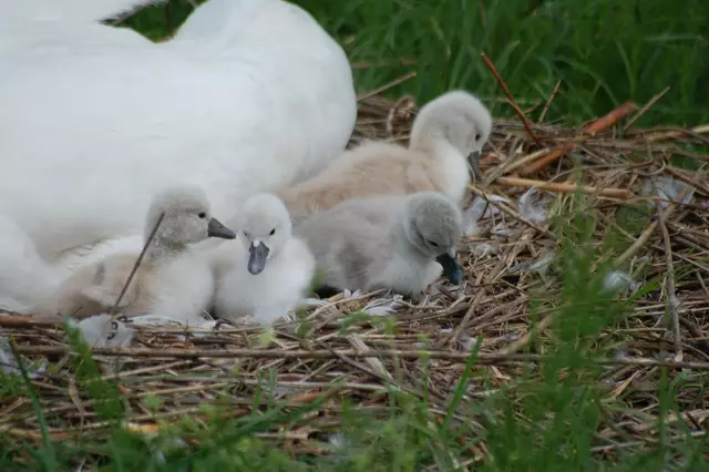 Foto: Heidrun Rosenberger