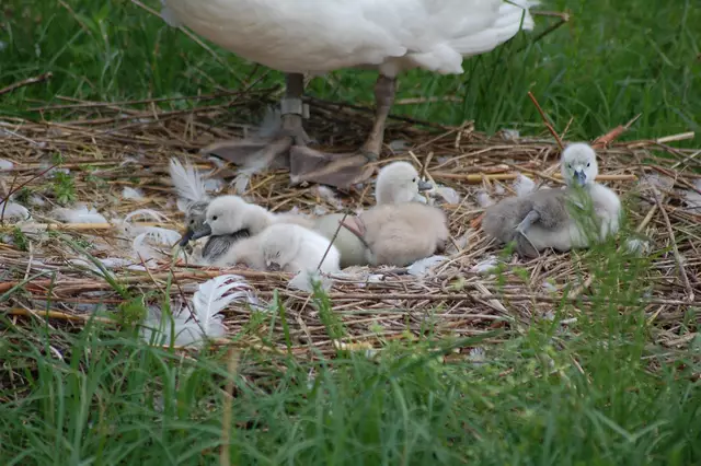 Foto: Heidrun Rosenberger