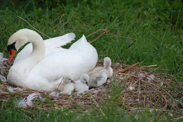 Foto: Heidrun Rosenberger